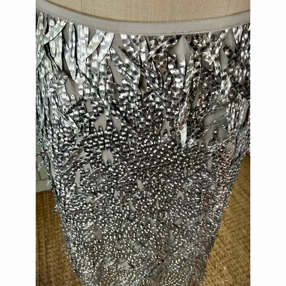 Anthropologie Sequined Fringe Skirt 8