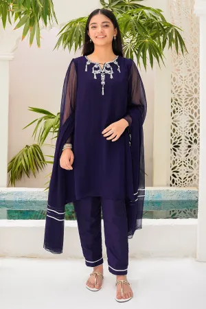 Chiffon Hand Adda Work 3 Pc Suit