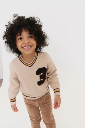 Crew Kids Varsity Knit V-Neck Sweater