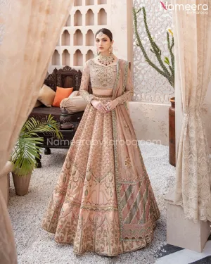 Pakistani Raw Silk Bridal Lehenga with Net Choli #BS204