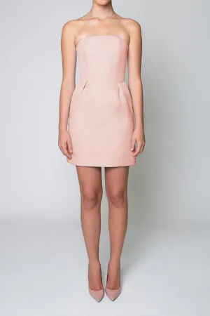 Strapless Silk Faille Mini Dress