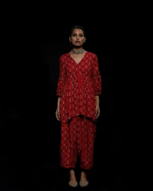 Viam   I   Red Ikat Hand Printed Top